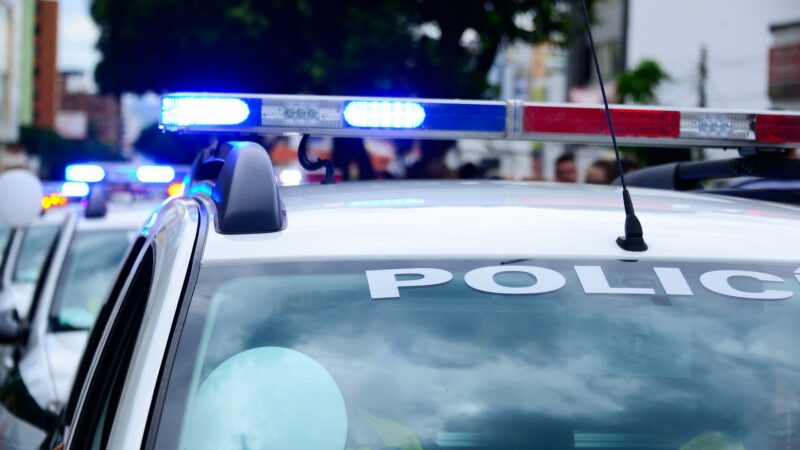 Interwencje policji w Zgorzelcu