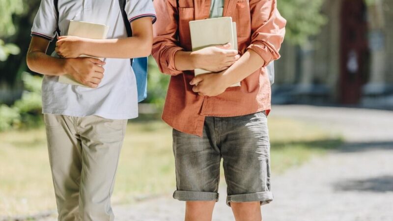 Wsparcie psychologiczno-pedagogiczne dla uczniów w Zgorzelcu