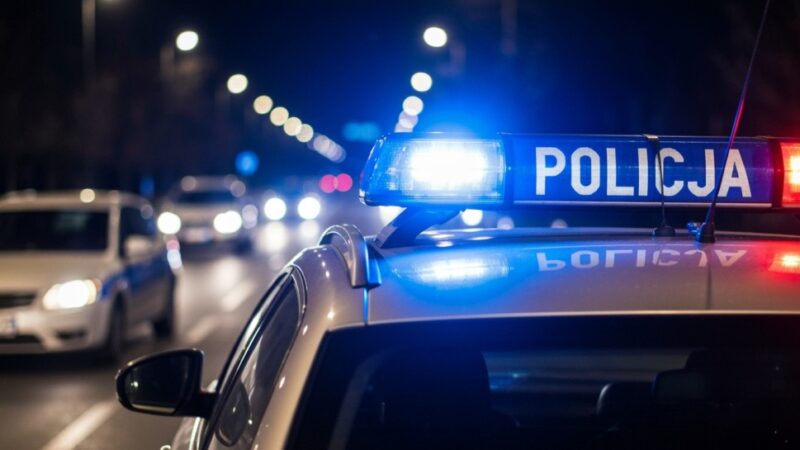 Zatrzymano dwóch mężczyzn poszukiwanych przez policję