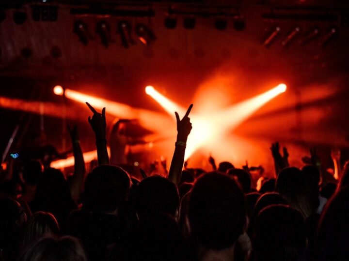 Karnawałowy Koncert Muzyczny w Zgorzelcu