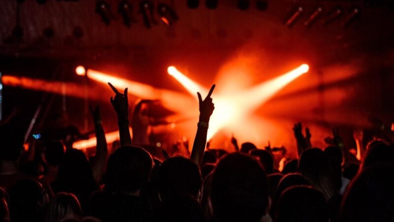 Karnawałowy Koncert Muzyczny w Zgorzelcu