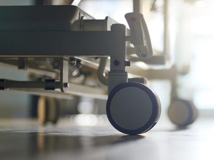 Zimowe wyzwania dla zwierząt: jak o nie zadbać?