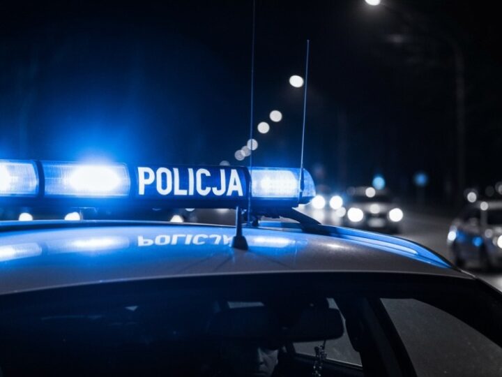 Zatrzymany 39-latek odpowie za kradzież baterii i czeka go kara więzienia