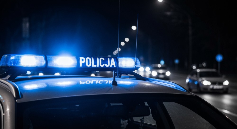 Zatrzymany 39-latek odpowie za kradzież baterii i czeka go kara więzienia